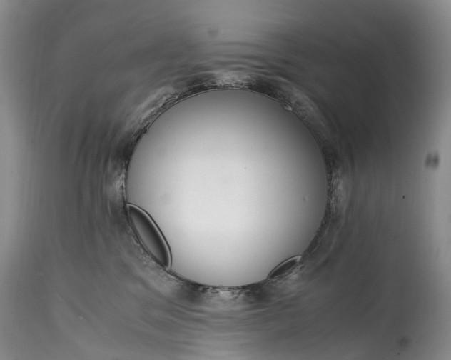 X0000115020329200911091448