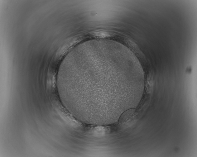 X0000115020330200911091448