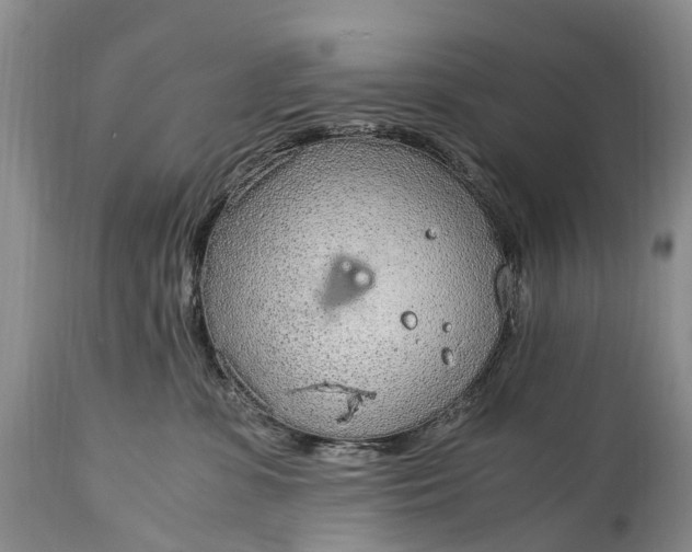 X0000115020331200911091448