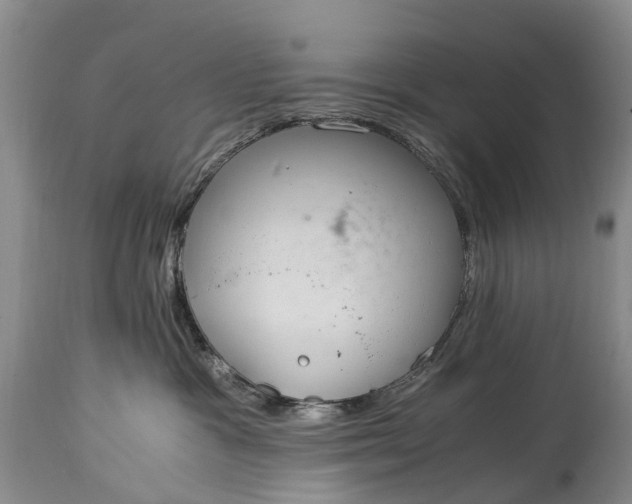 X0000115020333200911091448