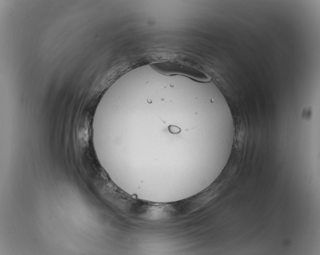 X0000115020334200911091448