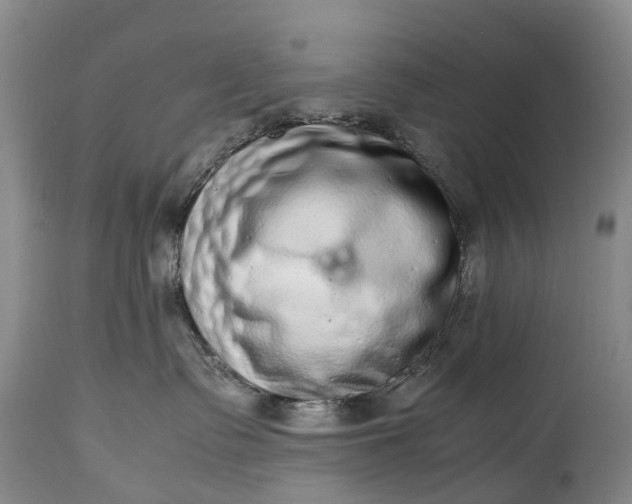 X0000115020335200911091448