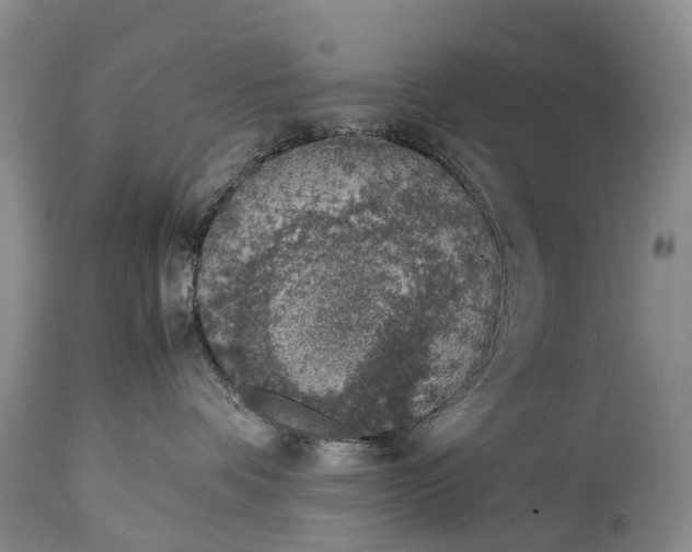 X0000115020336200911091448