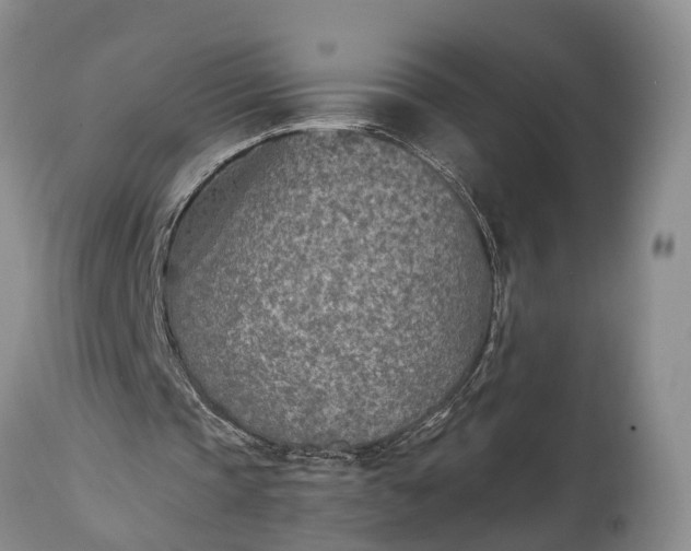 X0000115020337200911091447