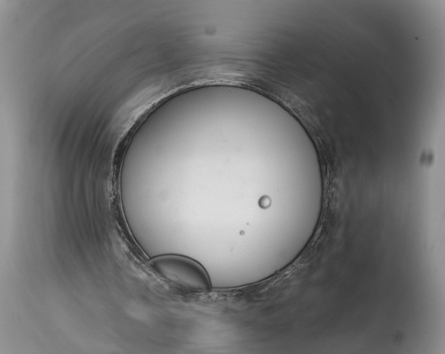 X0000115020338200911091447