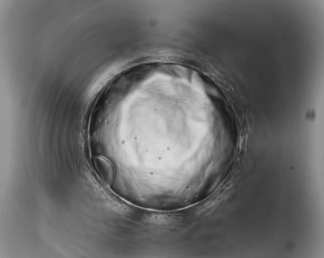 X0000115020341200911091447