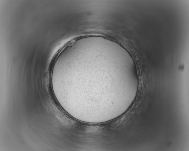 X0000115020342200911091447