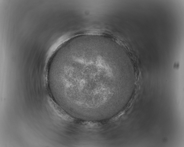 X0000115020343200911091447