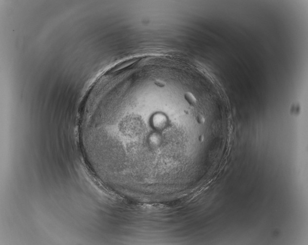 X0000115020346200911091447