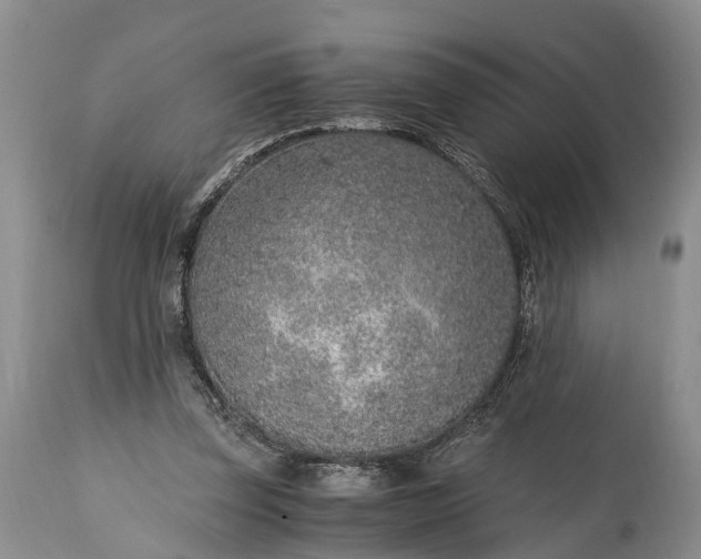 X0000115020347200911091447