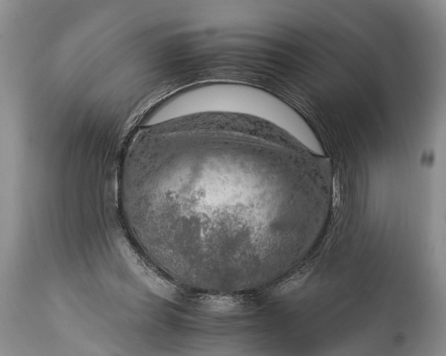 X0000115020349200911091448