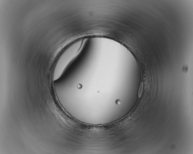 X0000115020350200911091448