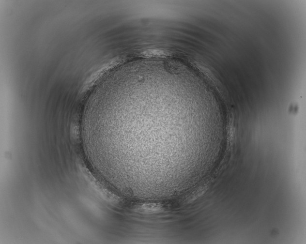 X0000115020353200911091448