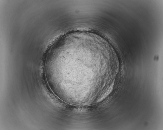 X0000115020354200911091448