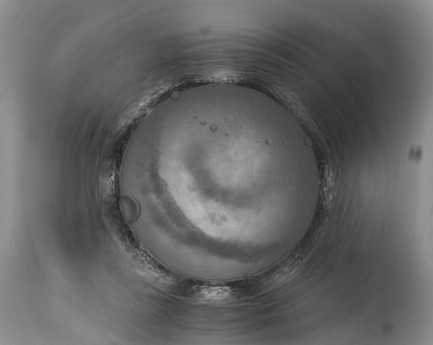 X0000115020355200911091448