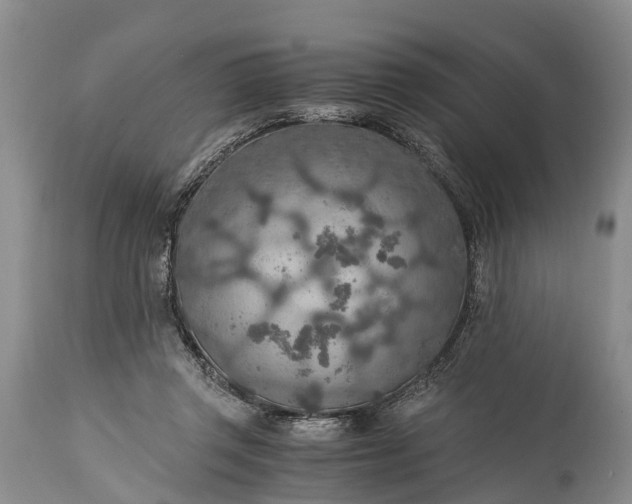 X0000115020357200911091448