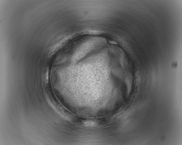 X0000115020358200911091448