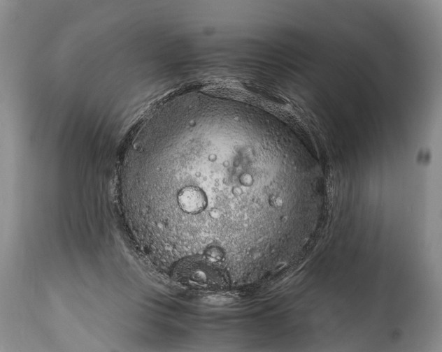 X0000115020359200911091448