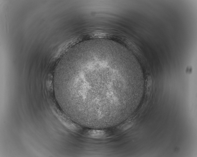 X0000115020361200911091448