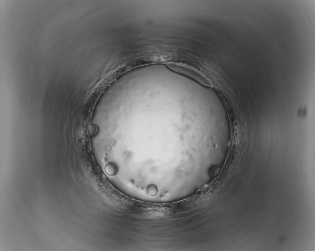 X0000115020363200911091448