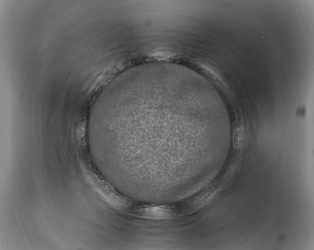 X0000115020365200911091448