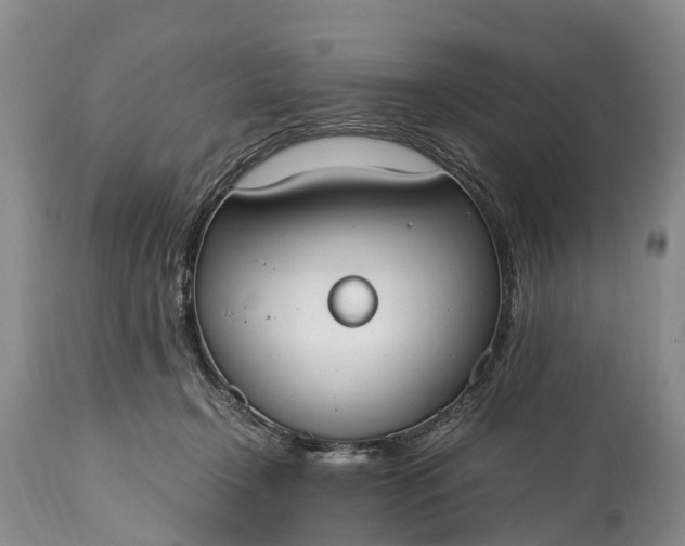 X0000115020366200911091448