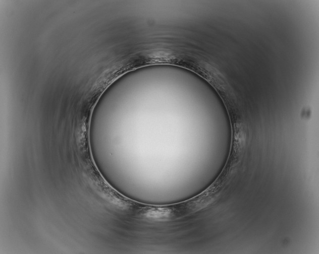 X0000115020369200911091448