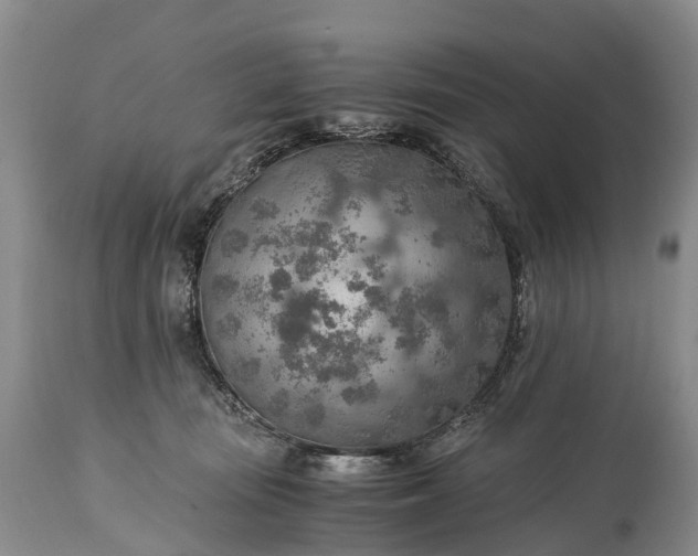 X0000115020371200911091448