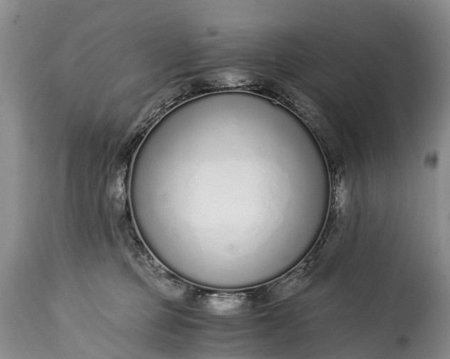 X0000115020373200911091448