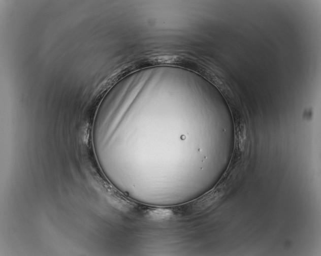 X0000115020374200911091448