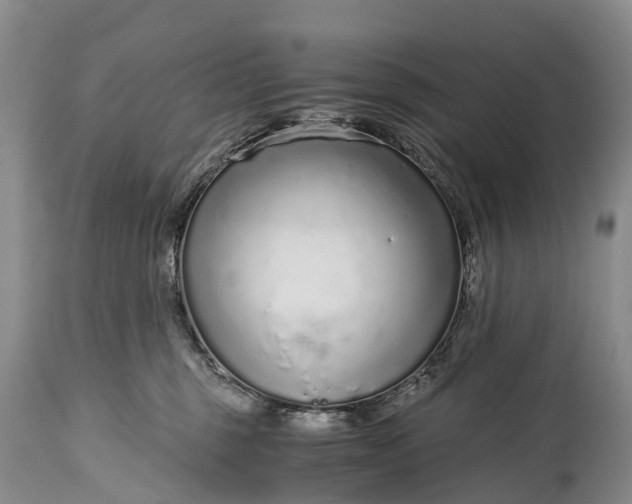 X0000115020375200911091448