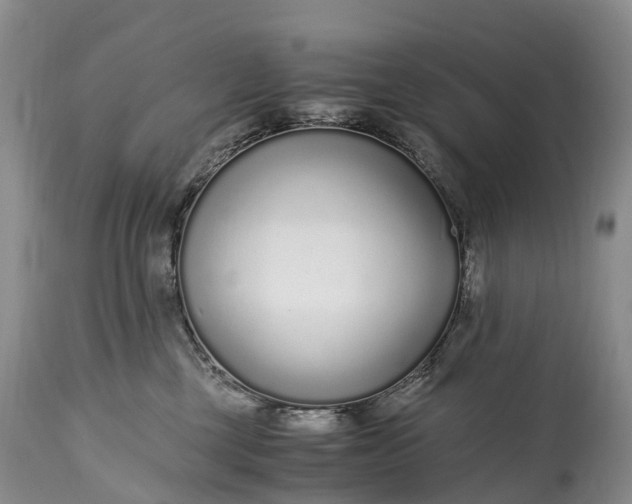 X0000115020377200911091448