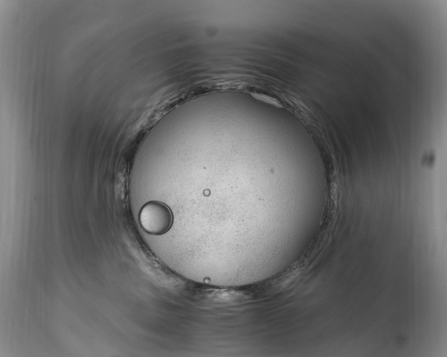 X0000115020379200911091448