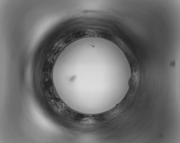 X0000115020381200911091448