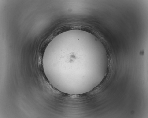 X0000115020382200911091448