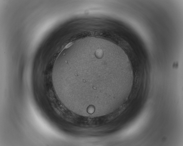 X0000115020383200911091448