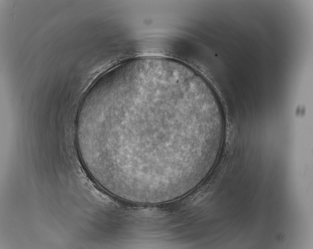 X0000115020385200911091447