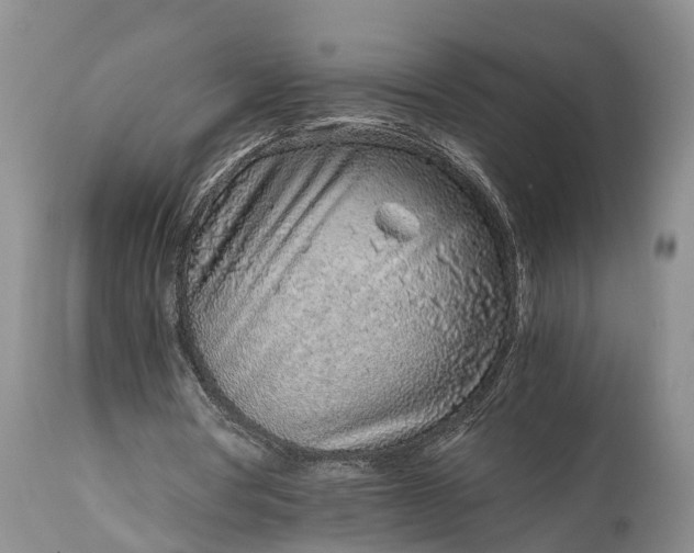 X0000115020386200911091447