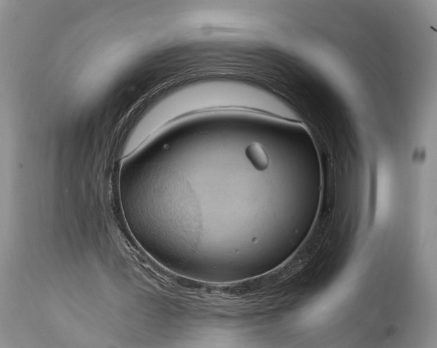 X0000115020387200911091447