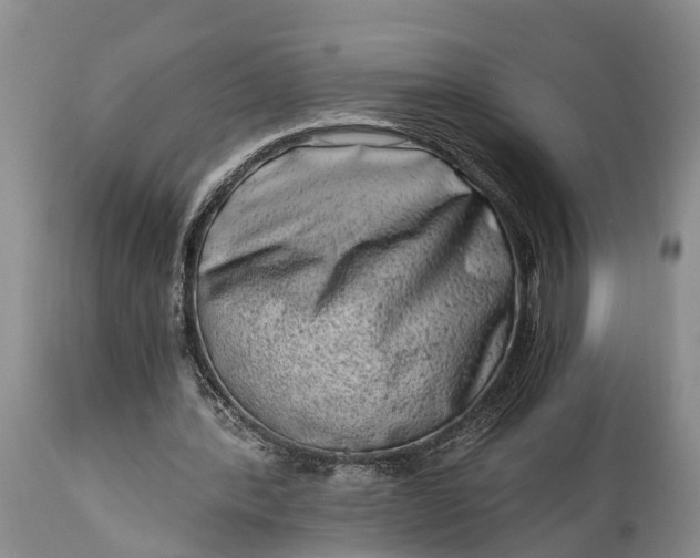 X0000115020388200911091447