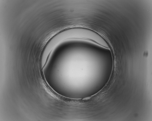 X0000115020389200911091447