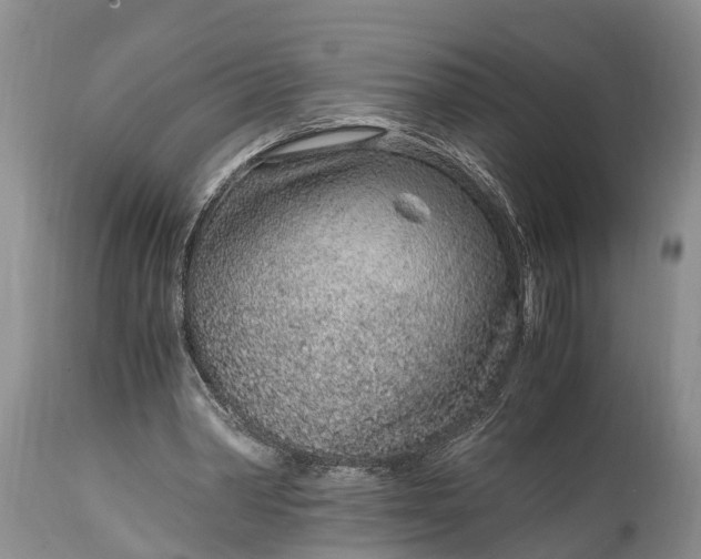 X0000115020390200911091447