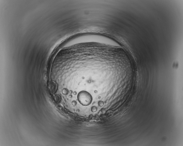 X0000115020392200911091447