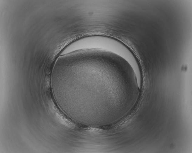 X0000115020393200911091447