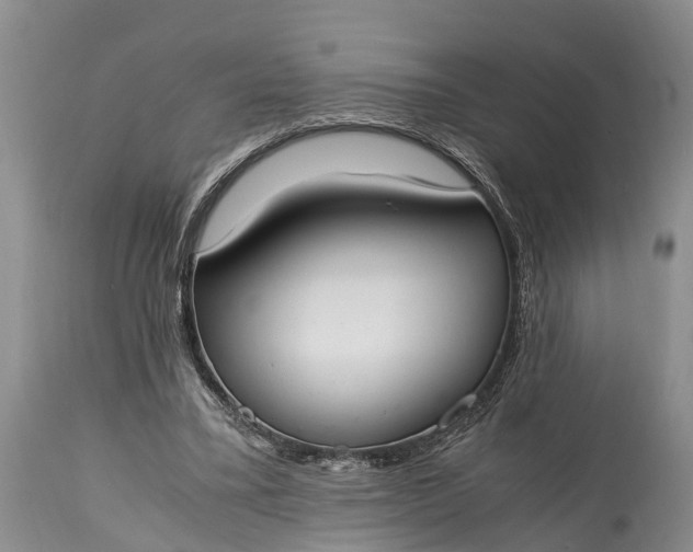 X0000115020395200911091447