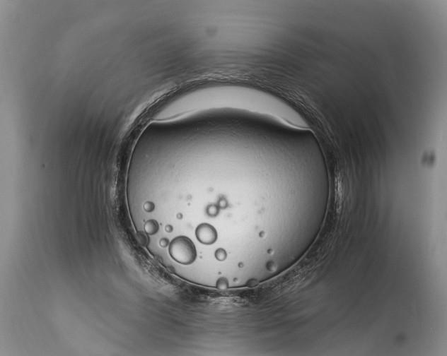 X0000115020396200911091447