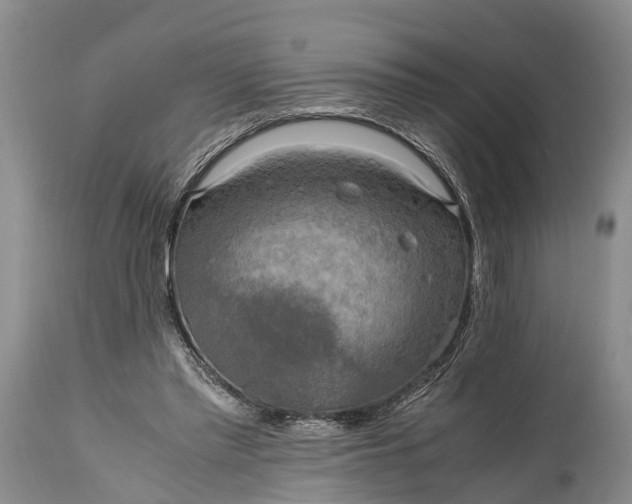 X0000115020397200911091447