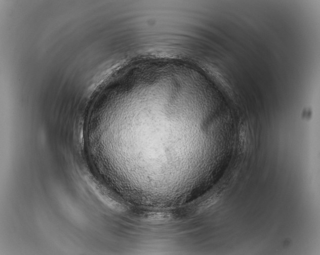 X0000115020398200911091447