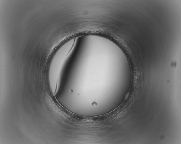 X0000115020399200911091447