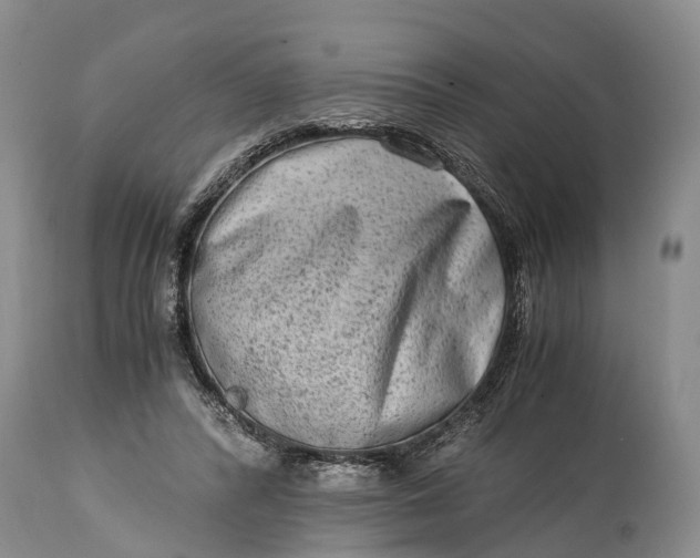 X0000115020400200911091447